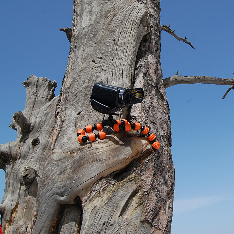 宁波市亿司特影视器材有限公司 Ningbo East Photographic Equipment Co., Ltd.